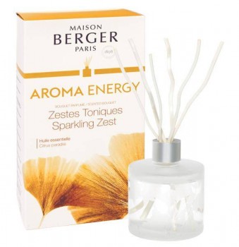 Aroma Energy Zestes Toniques Duftstäbchen 180ml von Maison Berger