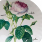 Preview: Müslischale Redoute Rose von Roy Kirkham, 17,5cm