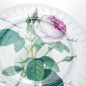 Preview: Kuchenteller 21cm mit der Redoute-Rose von Roy Kirkham