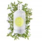 Preview: Eau de Toilette Prickelnde Verbene 100ml von Durance