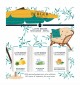 Preview: Triopack Eau de Menthes, Zeste de Verveine, Zeste d'Orange Verte je 250ml  Lampe Berger
