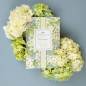 Preview: Hydrangea Duftsachet Hortensie groß von Greenleaf