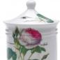 Preview: Roy Kirkham Porzellandose mit der Redoute Rose, 15cm hoch (incl. Deckel)