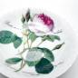 Preview: Müslischale Redoute Rose von Roy Kirkham, 17,5cm