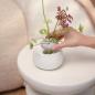 Preview: Blumenschale Naturelemente hoch 11,1x9,1x8,3cm Zuhause Räder Design
