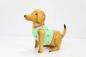 Preview: Hund 3er Set stehend groß 28x12x27cm Exner