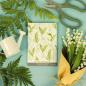 Preview: Lily of the Valley - Maiglöckchen Duftsachet groß von Fresh Scents