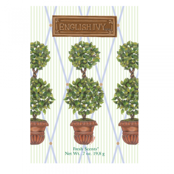 English Ivy Round Topiary Duftsachet würzig frischer Duft groß von Fresh Scents