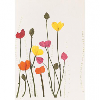 Gruß Mohnblumen Herzblüten Karte Räder Design