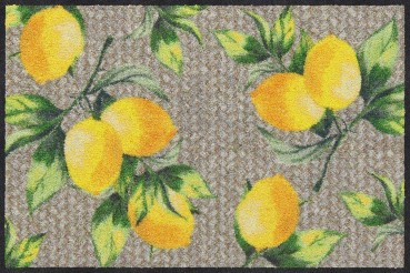 Lemons Pure Wohnmatte 50/75 cm Fußmatte Salonloewe