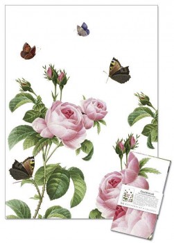 Geschirrtuch Tea Towel Rosa centifolia 1 Stück 100% Leinen