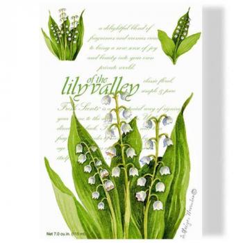 Lily of the Valley - Maiglöckchen Duftsachet groß von Fresh Scents