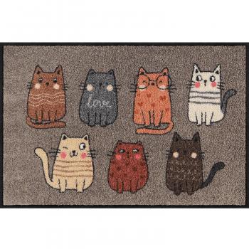 Chiara's Company Wohnmatte 50x75cm Fußmatte Salonloewe