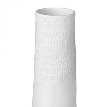 Vase Text schmal Raumpoesie Zuhause von Räder Design 17cm