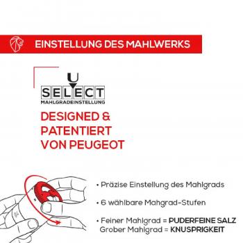 Preview: Maestro Salzmühle Geschenkeset hellgrau von Peugeot