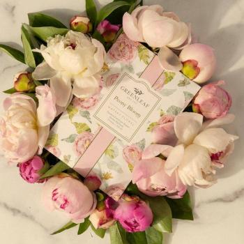 Preview: Peony Bloom - Pfingstrose Duftsachet Large von Greenleaf – langanhaltender Raumduft für Zuhause & unterwegs