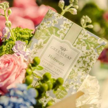 Preview: Hydrangea - Hortensie Duftsachet Large von Greenleaf – langanhaltender Raumduft für Zuhause & unterwegs