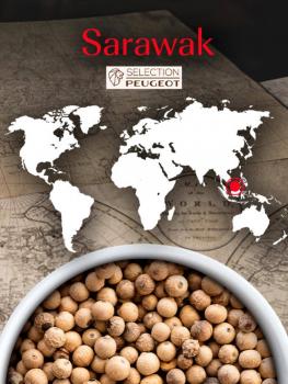Preview: Sarawak weißer Pfeffer 80g von Peugeot