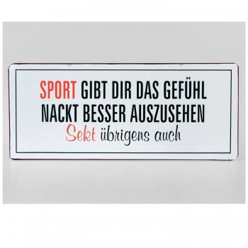 Wandbild Sport gibt dir das Gefühl... metall 30x13cm