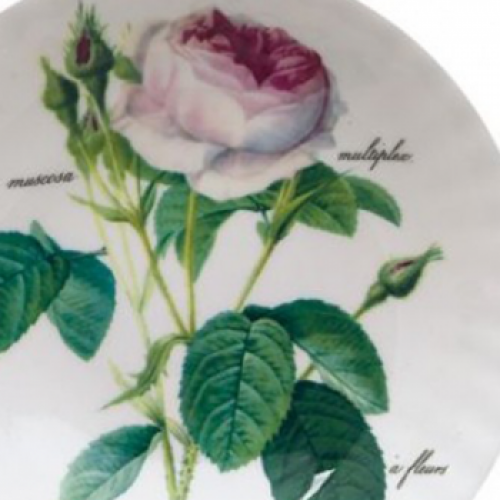 Müslischale Redoute Rose von Roy Kirkham, 17,5cm