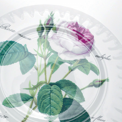 Kuchenteller 21cm mit der Redoute-Rose von Roy Kirkham