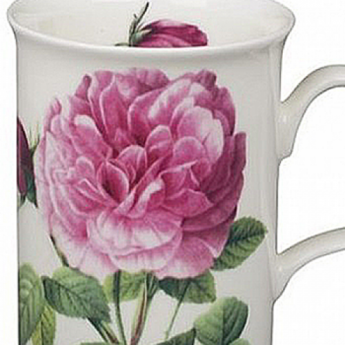 Versailles Rosenbecher Lancaster (Les Roses) Knospen links Roy Kirkham 320ml