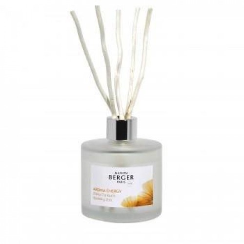  Aroma Energy Zestes Toniques Duftstäbchen 180ml von Maison Berger