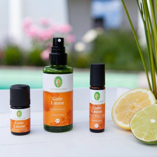 Gute Laune Primavera Bio Raumspray 50ml