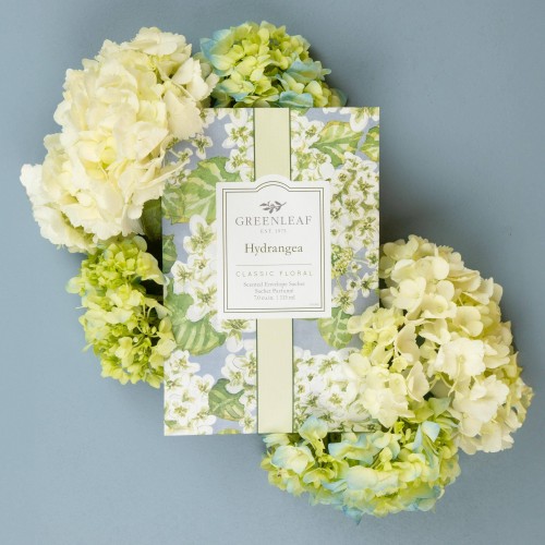 Hydrangea Duftsachet Hortensie groß von Greenleaf