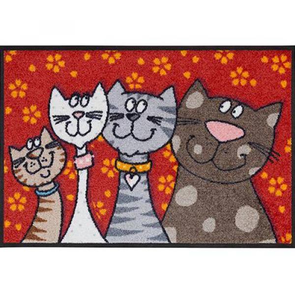 Katzenfamilie Wohnmatte 50x75cm Fußmatte Salonloewe