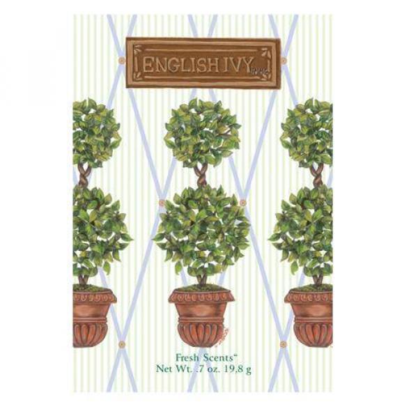 English Ivy - Round Topiary von Fresh Scents Duftsachet Large – langanhaltender Raumduft für Zuhause & unterwegs