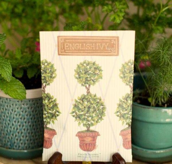 English Ivy - Round Topiary von Fresh Scents Duftsachet Large – langanhaltender Raumduft für Zuhause & unterwegs