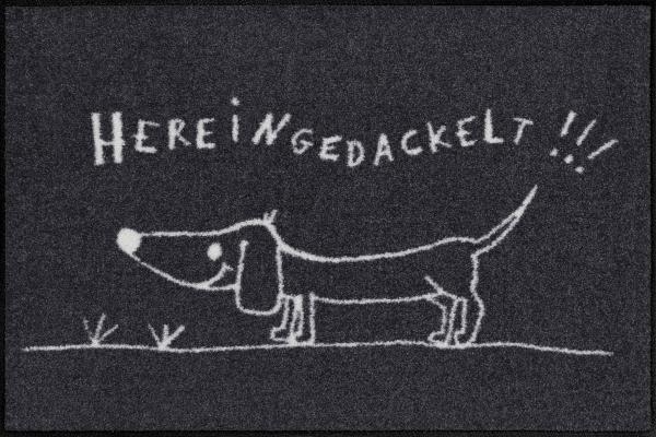 Hereingedackelt Wohnmatte 50x75cm Fußmatte Salonloewe