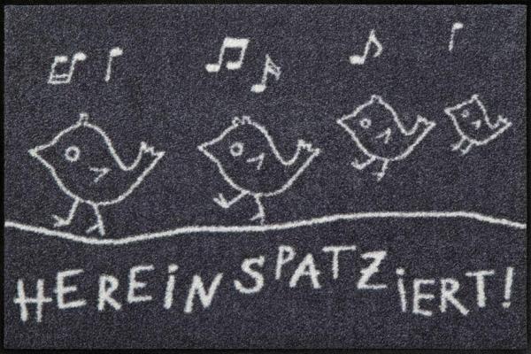 Hereinspaziert Wohnmatte 50x75cm Fußmatte Salonloewe